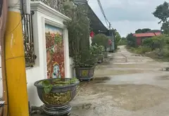 Lô góc nở hậu tại Thôn Vàng Thông, Gia Bình - Cơ hội đầu tư siêu hấp dẫn... Bán đất tại Gia Bình, Bắc Ninh 03