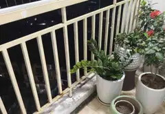 CẦN BÁN NHÀ GẤP! MỸ ĐÌNH - LÔ GÓC - MẶT TIỀN ĐẸP... Bán căn hộ chung cư tại Từ Liêm, Hà Nội 20