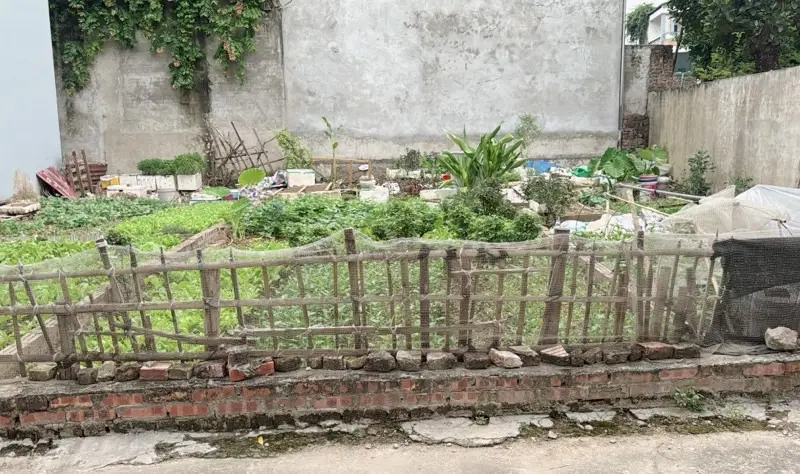 Bán đất 46,6m² tại tổ 25 Đông Anh, giá ưu đãi giảm 890 triệu... Bán đất tại Đông Anh, Hà Nội 01