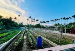 Đất đẹp An Trường, ngõ thông, giá hợp lý... Bán đất tại An Lão, Hải Phòng 05