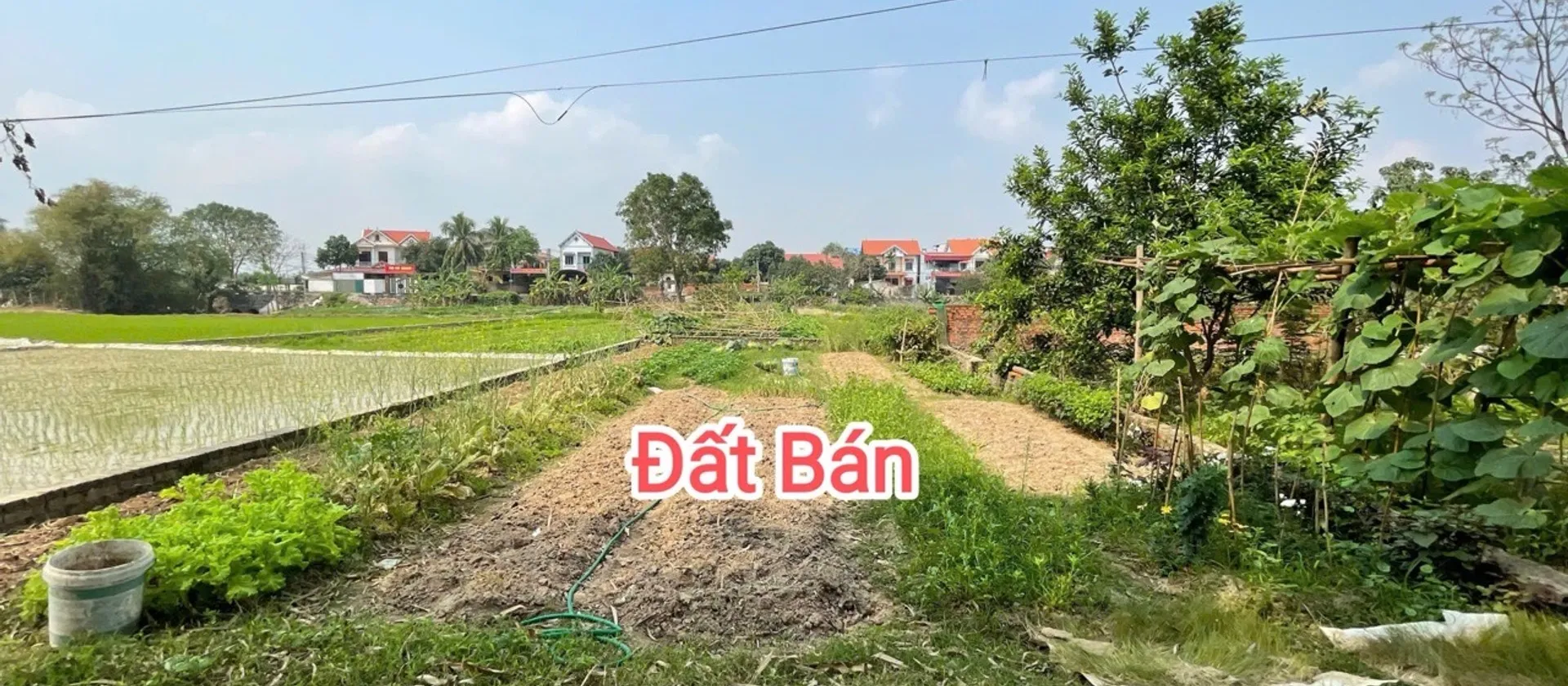 Bán đất lô góc tại Đồng Lạc, Sóc Sơn, mặt tiền rộng, tiện đường ô tô... Bán đất tại Sóc Sơn, Hà Nội 01