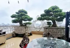 Lâu đài mặt phố cổ trung tâm Đống Đa với 10 tầng thang máy hiện đại... Bán nhà mặt phố tại Ô Chợ Dừa, Hà Nội 07