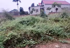 Đất đẹp sổ đỏ Tân Minh - vị trí vàng cho nhà đầu tư... Bán đất tại Sóc Sơn, Hà Nội 04