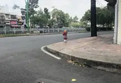 Nhà mặt phố quận 3 siêu đẹp, rộng thoáng giá tốt... Bán nhà mặt phố tại Nhiêu Lộc, Hồ Chí Minh 11