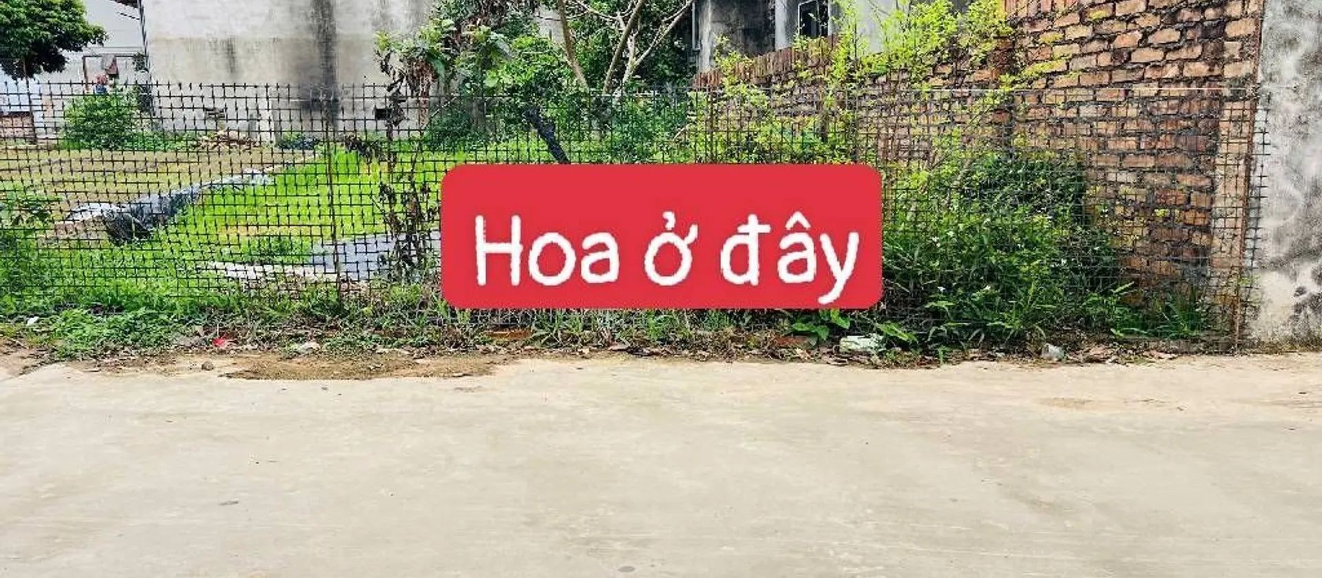 🔥CHỦ NGỘP GIÁ NÀO CŨNG BÁN 100M2 FULL TC YÊN LƯƠNG - TRUNG GIÃ - HÀ NỘI🔥... Bán đất tại Trung Giã, Hà Nội 01