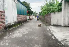 Lô đất vàng ở Thôn 1, Gia Đức – Thủy Nguyên chờ chủ mới cực phẩm... Bán đất tại Bạch Đằng, Hải Phòng 05