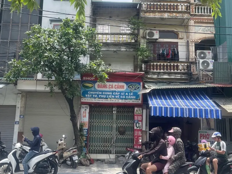 Nhà mặt phố sầm uất, giá sốc giảm 700tr tại Hải Bối... Bán nhà mặt phố tại Thiên Lộc, Hà Nội 01