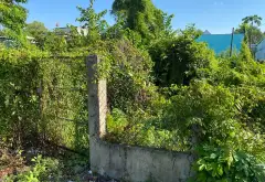 Bán đất mặt tiền rộng 12m tại xã Bình Lợi huyện Bình Chánh, 463m²... Bán đất tại Bình Lợi, Hồ Chí Minh 02