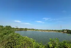 Quỹ đất rộng 1.8ha tại TDP Đẩu Sơn, Phù Liễn - Cơ hội đầu tư sinh lời lâu dài... Bán đất tại Kiến An, Hải Phòng 04