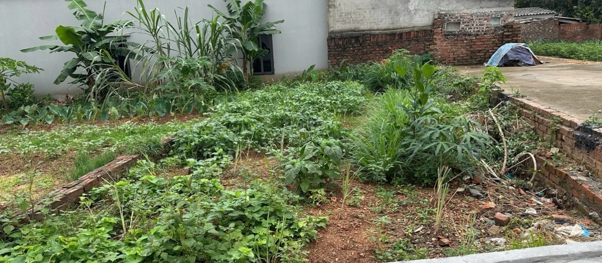 Lô góc cực đẹp, vừa tầm đầu tư tại trung tâm xã... Bán đất tại Sóc Sơn, Hà Nội 01
