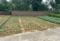 Đất Phù Lin, Sóc Sơn- Đường rộng- thông thoáng - 100m2 vuông vắn... Bán owner_side tại Sóc Sơn, Hà Nội 05
