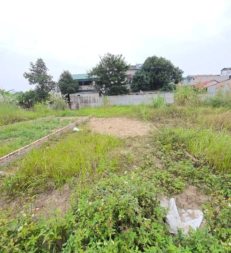 Biệt thự 1 tầng thoáng mát, Quang Minh Mê Linh... Bán biệt thự, liền kề tại Quang Minh, Hà Nội 01