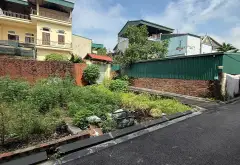 Bán lô góc 48m2 tại thôn Đông, Việt Hùng, Đông Anh... Bán đất tại Thư Lâm, Hà Nội 05