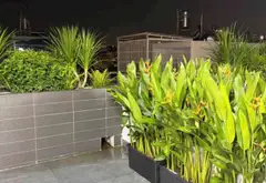 Nhà Hoàng Bật Đạt giá hời, không gian thoáng đãng... Bán nhà riêng tại Tân Sơn, Hồ Chí Minh 05