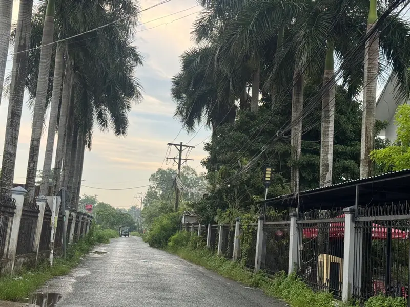 Bán đất mặt tiền Xóm Dầu Bình Chánh diện tích 1500m2... Bán đất tại Tân Nhựt, Hồ Chí Minh 01