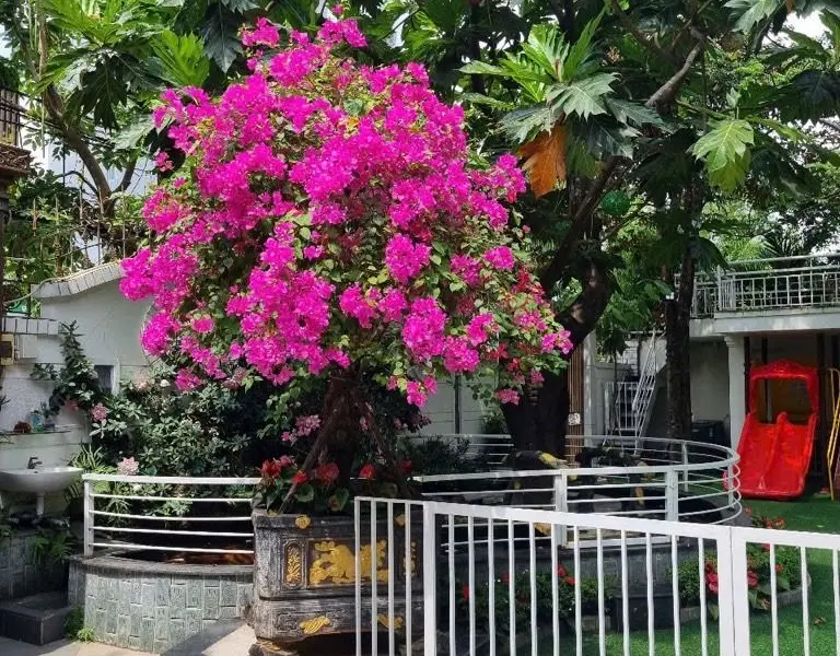 BIỆT THỰ 648M² –NGANG 24M – DÒNG TIỀN 3.000 USD/THÁNG – SÁT BIỂN MỸ KHÊ 200M | 0762,658,925 - 45 tỷ... Bán nhà mặt phố tại An Hải, Đà Nẵng 01