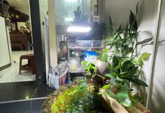 Nhà 3 tầng Trung Tâm Gần Nhà Hát Lớn Hải Phòng, Phù Hợp Kinh Doanh Và An Cư... Bán nhà riêng tại Gia Viên, Hải Phòng 04