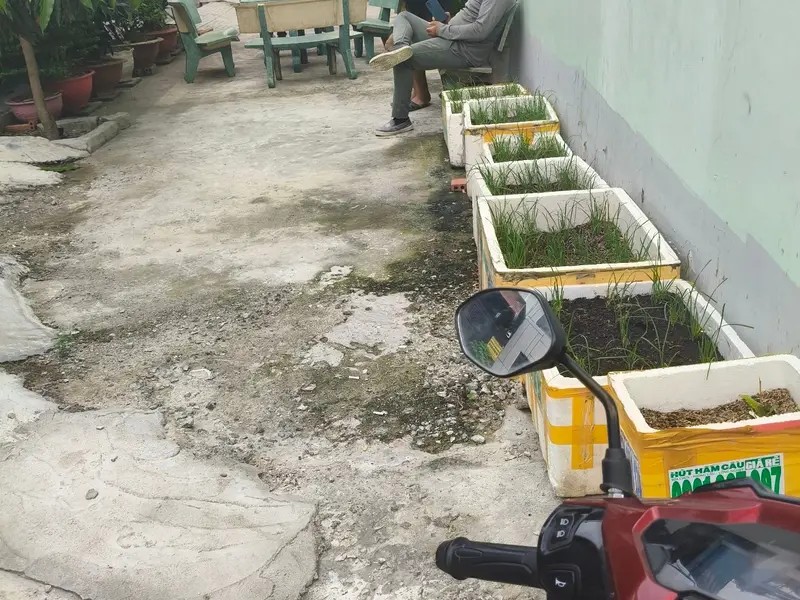Cơ hội vàng sở hữu đất góc lô hiếm tại phường Trung Mỹ Tây... Bán đất tại Trung Mỹ Tây, Hồ Chí Minh 01
