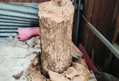 Nhà rộng mặt tiền lớn ngay trung tâm Quận 8, giá ưu đãi... Bán nhà riêng tại Bình Đông, Hồ Chí Minh 13