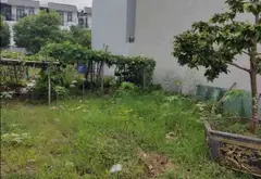 Cơ Hội Vàng Sở Hữu Đất Vàng Khu Dân Cư Thượng Lưu Thủy Sơn... Bán đất tại Thủy Nguyên, Hải Phòng 01