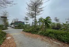 Bán 68m2 Đất Vàng Đấu Giá Khu Cây Sung - Đan Phượng, Phân lô , ô tô tránh, xây nhà ở sướng.... Bán đất tại Đan Phượng, Hà Nội 10