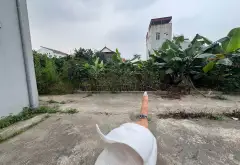 Đất thổ cư 125m2 ô tô vào nhà, vị trí vàng Văn Giang... Bán đất tại Văn Giang, Hưng Yên 04