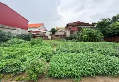 Bán đất thổ cư 78m² tại xã Bà Khê, cách sân bay Gia Bình 2km... Bán đất tại Lương Tài, Bắc Ninh 05