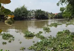 Bán nhà mặt phố 2 tầng 500m2 tại ấp Vườn Thơm Bình Chánh... Bán nhà mặt phố tại Bình Lợi, Hồ Chí Minh 14