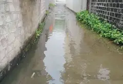 Lô đất rộng 1028m² hướng Đông Bắc tại khu dân cư phát triển... Bán đất tại Thủy Nguyên, Hải Phòng 02