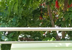 Siêu phẩm nhà mặt phố kinh doanh sầm uất quận Tân Bình... Bán nhà mặt phố tại Bảy Hiền, Hồ Chí Minh 17