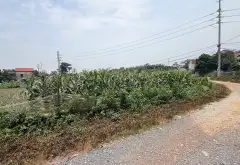 Bán đất lô góc 3 mặt đường Quốc lộ 413, Bất Bạt, Ba Vì, Hà Nội, mặt tiền 58m... Bán đất tại Bất Bạt, Hà Nội 03