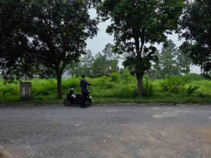 Bán đất khu đô thị Nam Từ Sơn, TP Từ Sơn, Bắc Ninh, diện tích lớn hướng Đông... Bán đất tại Từ Sơn, Bắc Ninh 01