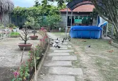 Bán nhà vườn nghỉ dưỡng diện tích lớn tại xã Bình Lợi, Bình Chánh... Bán nhà mặt phố tại Bình Lợi, Hồ Chí Minh 02
