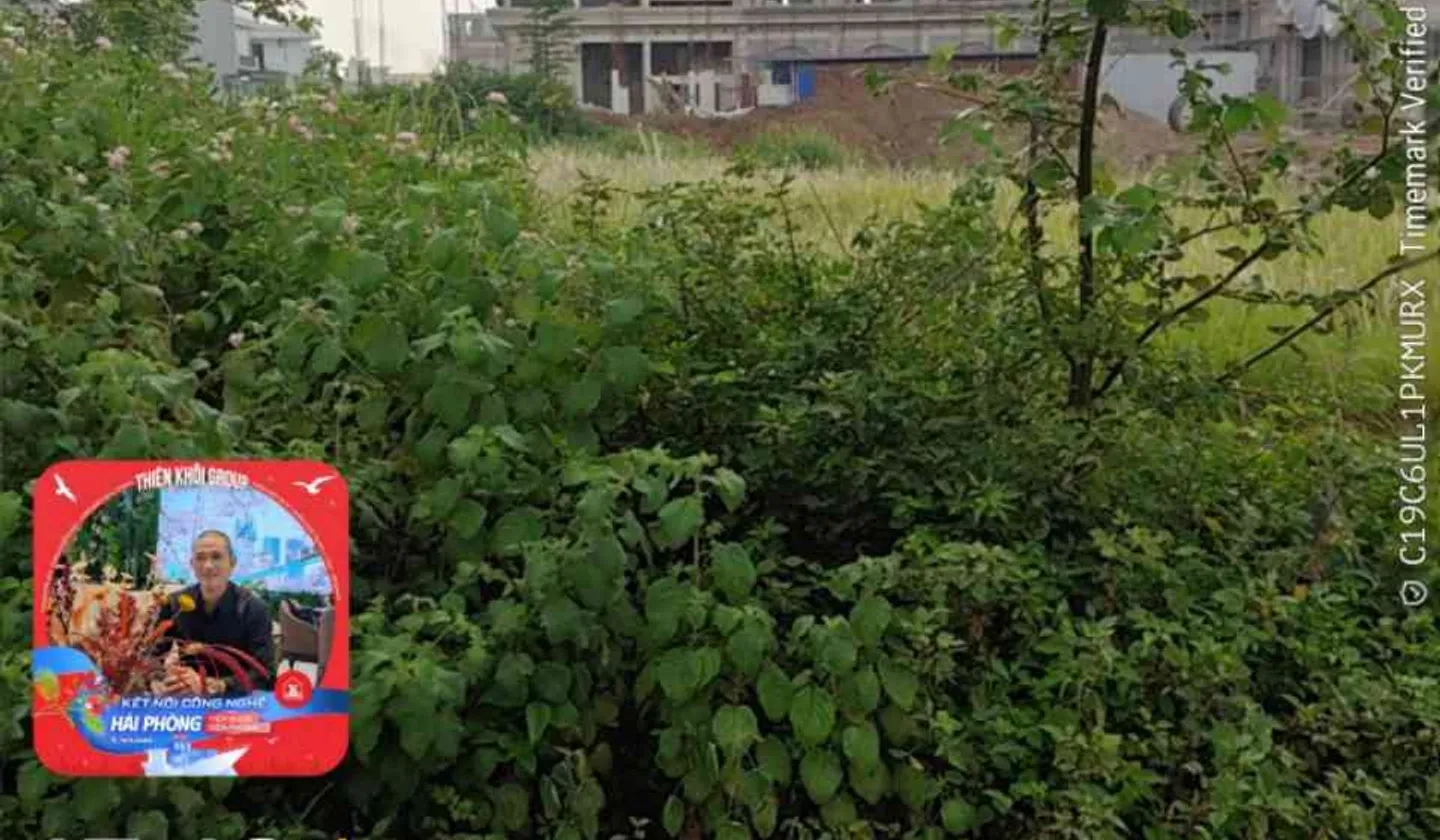 Bán đất thổ cư xã Văn Phong, Cát Hải, mặt tiền 5m giá tốt... Bán đất tại Gia Lộc, Hải Phòng 01