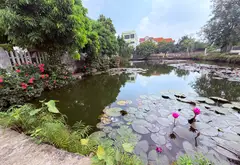 Bán đất Kim Ngưu Văn Giang giáp Đại Học Bách Khoa 70m2 mặt tiền 5m ô tô tránh dừng đổ... Bán đất tại Văn Giang, Hưng Yên 11
