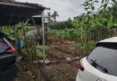 Đất Hà Nội, giá rẻ.... Bán đất tại Hồng Vân, Hà Nội 03