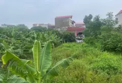Đất đẹp khu Xích Đằng- Lam Sơn... Bán đất tại Sơn Nam, Hưng Yên 11