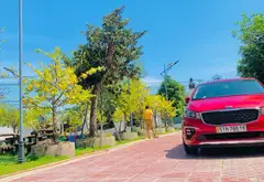 Biệt phủ sân vườn 2 mặt tiền tại Bình Chánh... Bán partner tại Tân Nhựt, Hồ Chí Minh 04