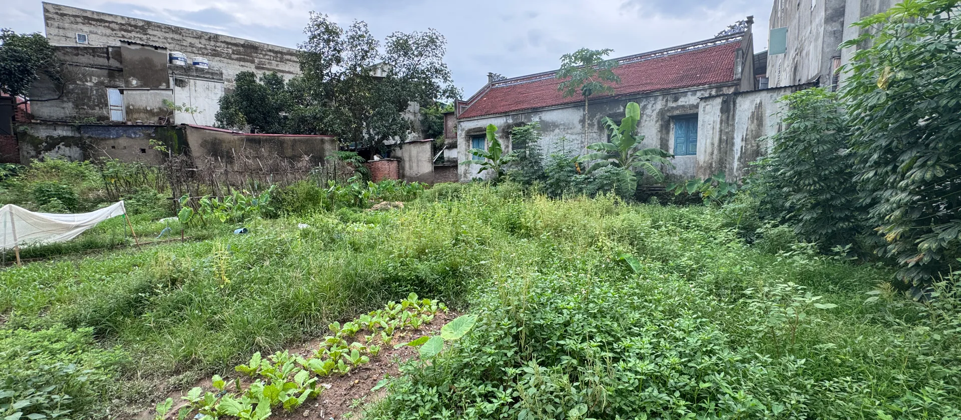 70M² ĐẤT HOÀN SƠN – Ô TÔ VÀO TẬN NƠI, 20M RA ĐƯỜNG Ô TÔ TRÁNH... Bán đất tại Đại Đồng, Bắc Ninh 01