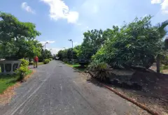 Đất Vườn Mặt Tiền Đường Tân Long Bình Chánh, Rộng 7800m2... Bán đất tại Tân Nhựt, Hồ Chí Minh 02