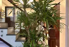 Nhà riêng 3 tầng với sân cổng rộng rãi gần khu chợ Minh Kha, An Hải... Bán nhà riêng tại An Hải, Hải Phòng 11
