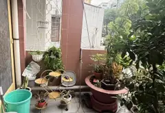 Nhà mặt tiền kinh doanh sầm uất giảm giá cực sốc... Bán nhà mặt phố tại Vườn Lài, Hồ Chí Minh 13