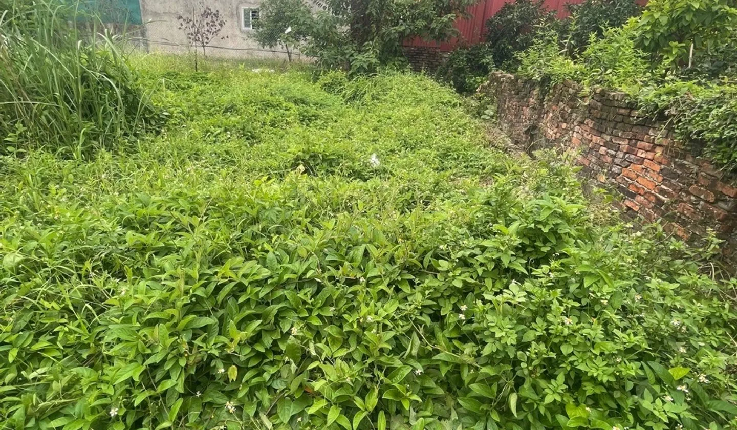 Bán đất thổ cư 51m² ngõ ô tô xã Quang Minh Mê Linh... Bán đất tại Quang Minh, Hà Nội 01