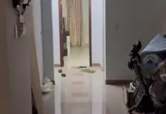 Nhà 2 Mặt Tiền Hẻm Kinh Doanh Trung Tâm Tân Bình... Bán nhà riêng tại Tân Sơn Nhất, Hồ Chí Minh 01