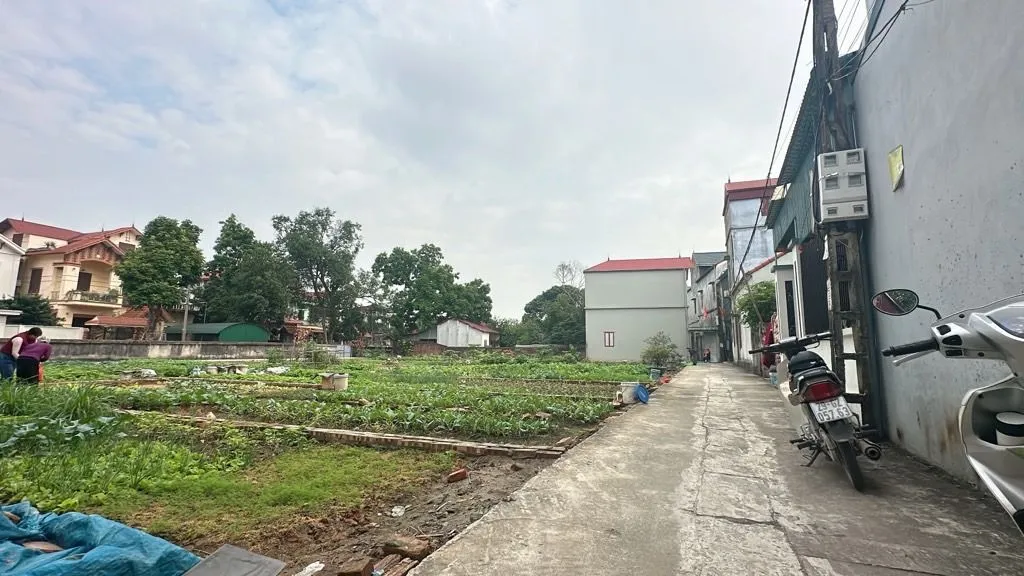 Bán đất trung tâm Ninh Xá, ô tô vào, dân cư đông... Bán đất tại Ninh Xá, Bắc Ninh 01