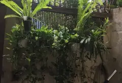 Cơ hội sở hữu nhà 2 tầng ngay trung tâm Quận 1, giá tốt khó tin... Bán nhà riêng tại Tân Định, Hồ Chí Minh 03