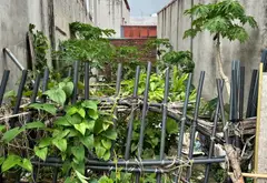 Cơ hội hiếm có sở hữu đất mặt phố kinh doanh xã Yên Phong Bắc Ninh... Bán đất tại Yên Phong, Bắc Ninh 04
