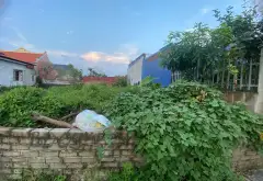 Đất Nở Hậu Cực Đỉnh Tại An Lão - Cơ Hội Nhỏ Xinh, Dễ Chốt... Bán đất tại An Quang, Hải Phòng 01
