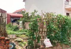 🔆Bán đất Mai Nội - Sóc Sơn 98.8m2 ô tô tải vào đất gần các cụm CN và sân bay Nội Bài... Bán đất tại Sóc Sơn, Hà Nội 03
