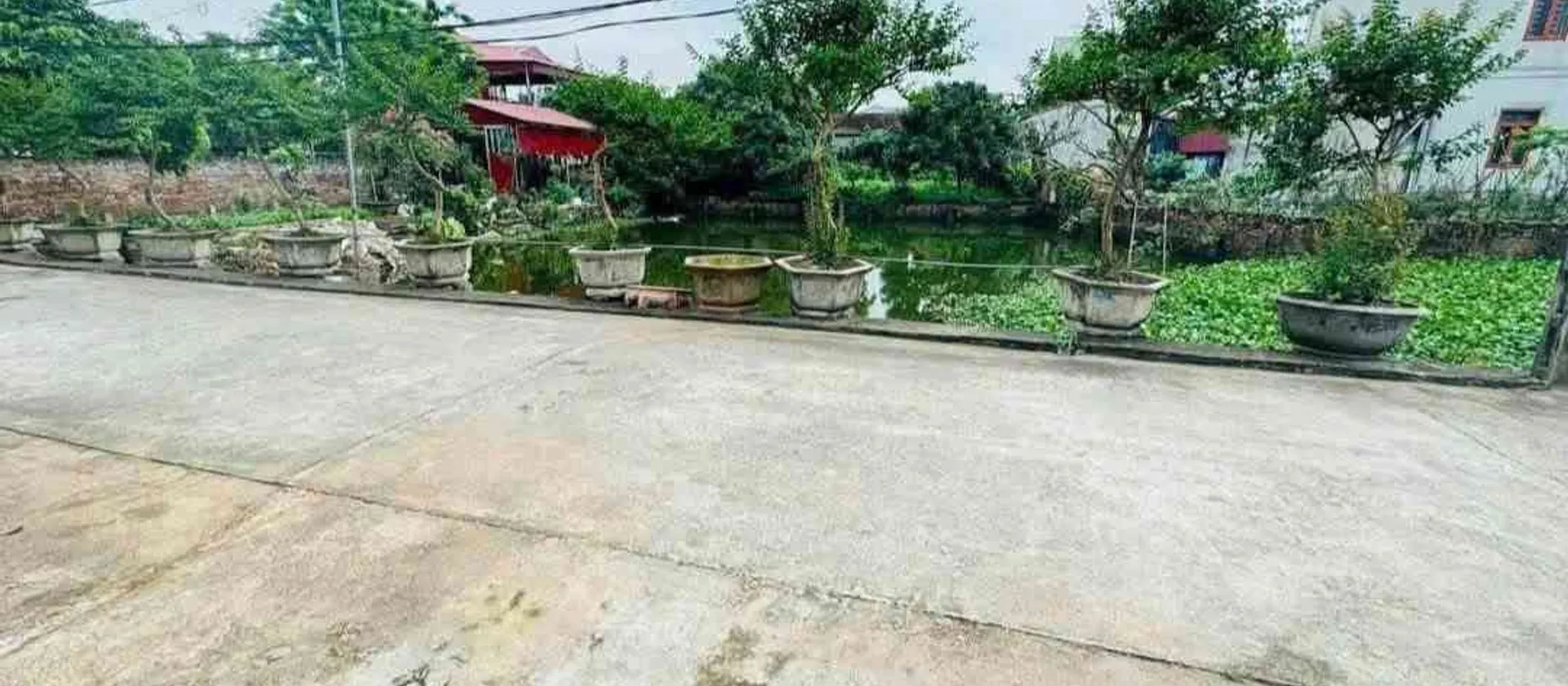 Cơ hội hiếm có sở hữu đất siêu đẹp tại Thôn Yên Vĩnh giá chỉ 3.1 tỷ... Bán đất tại Triệu Việt Vương, Hưng Yên 01